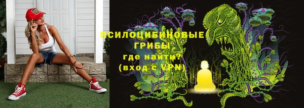 ешки Верея
