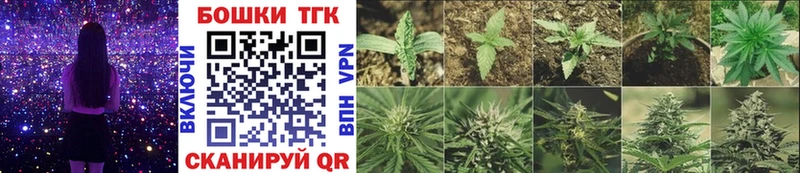 Канабис White Widow  сколько стоит  Пятигорск 
